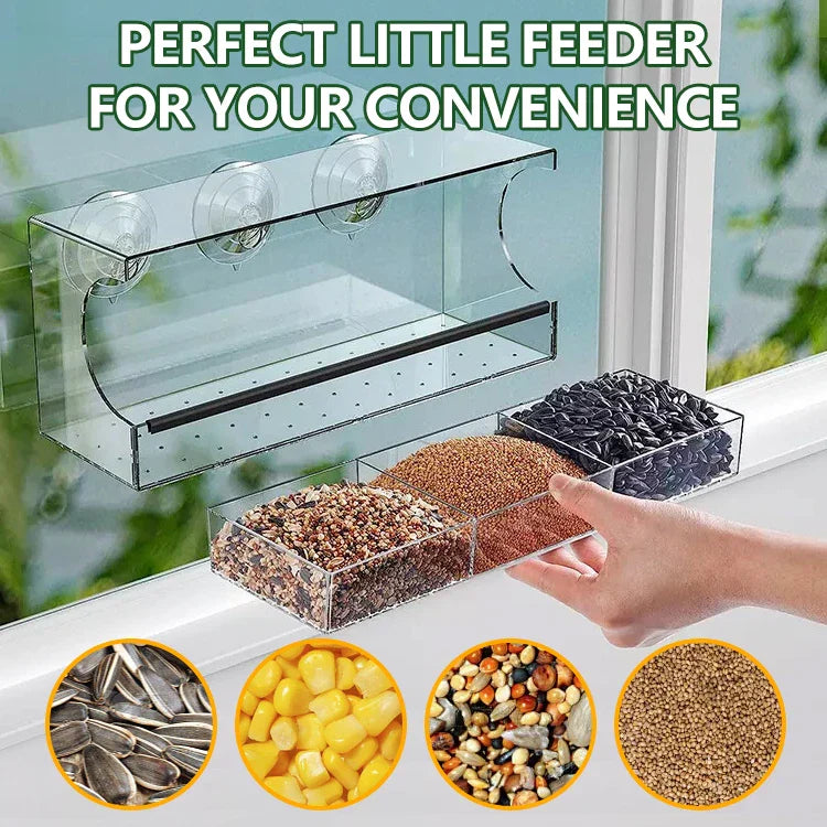 Clear Acrylic Window Bird Feeder