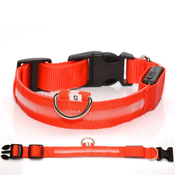 PawSnooze – USB Rechargeable LED Safety Dog Collar