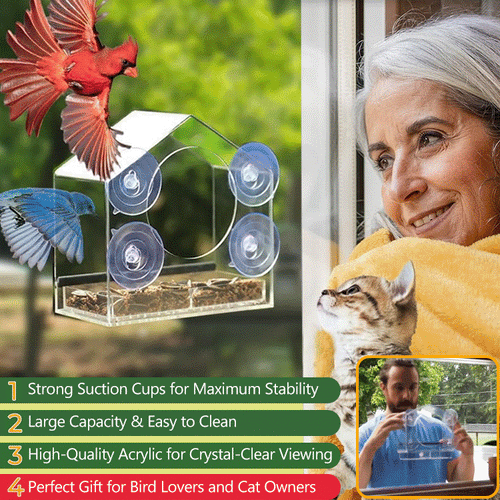 Clear Acrylic Window Bird Feeder