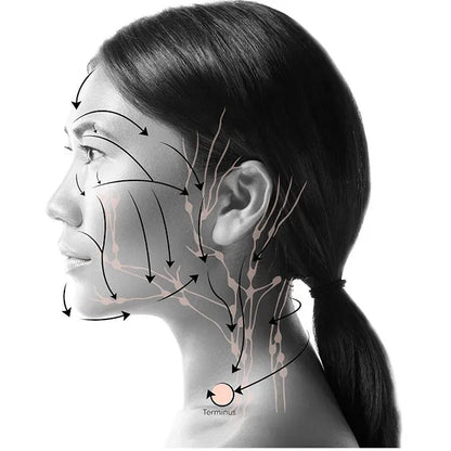 GlowSculpt Lymphatic Contour Brush