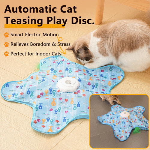 Smart Cat Hunting Dome