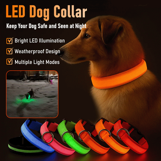 PawSnooze – USB Rechargeable LED Safety Dog Collar