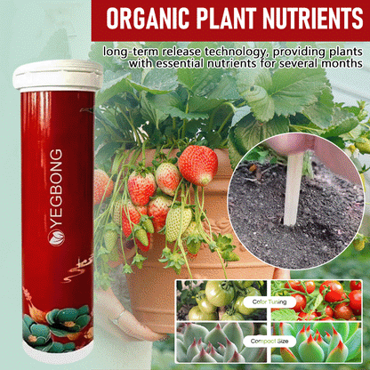 GrowMaster Slow-Release Fertilizer Tablets