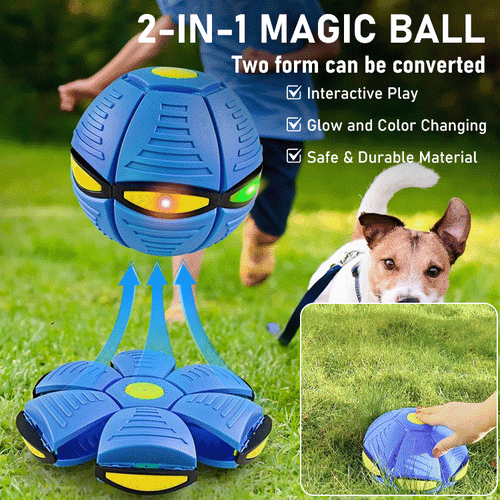 Doggy Interactive Flying Saucer Ball