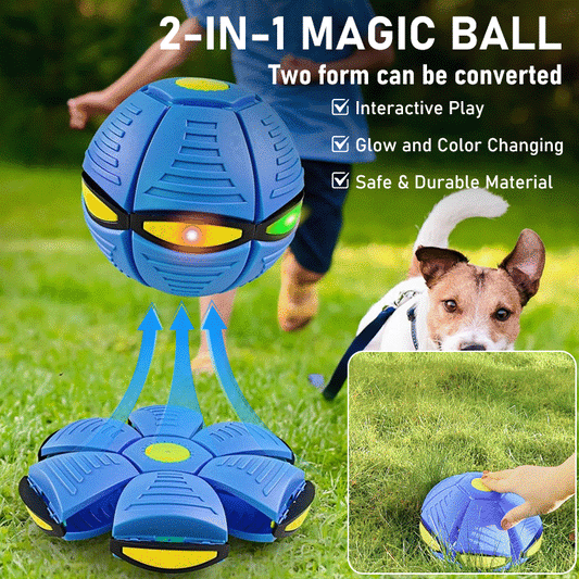 Doggy Interactive Flying Saucer Ball