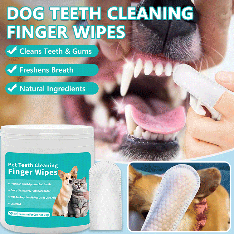 PawPure - Dental Finger Wipes – Easy Pet Teeth Cleaning
