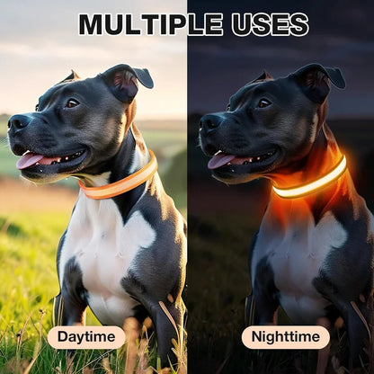 PawSnooze – USB Rechargeable LED Safety Dog Collar