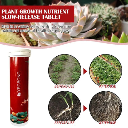 GrowMaster Slow-Release Fertilizer Tablets