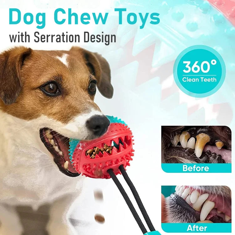 PawGrip Interactive Chew Ball