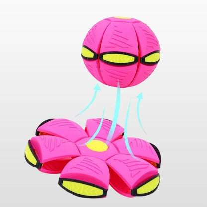 Doggy Interactive Flying Saucer Ball