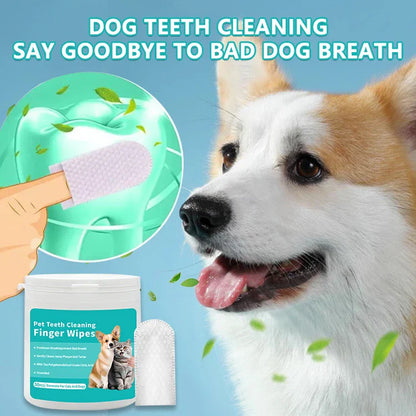 PawPure - Dental Finger Wipes – Easy Pet Teeth Cleaning