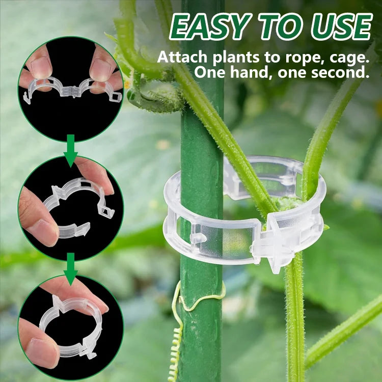 🌿 ClingGrow™ Plant Support Clips