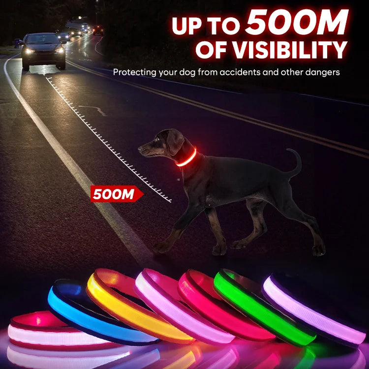 PawSnooze – USB Rechargeable LED Safety Dog Collar