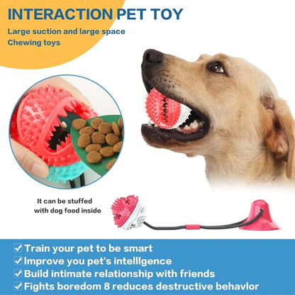 PawGrip Interactive Chew Ball