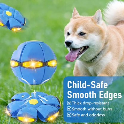 Doggy Interactive Flying Saucer Ball