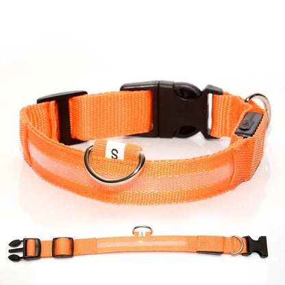 PawSnooze – USB Rechargeable LED Safety Dog Collar