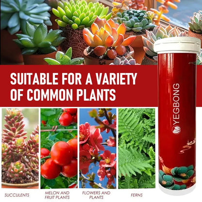 GrowMaster Slow-Release Fertilizer Tablets
