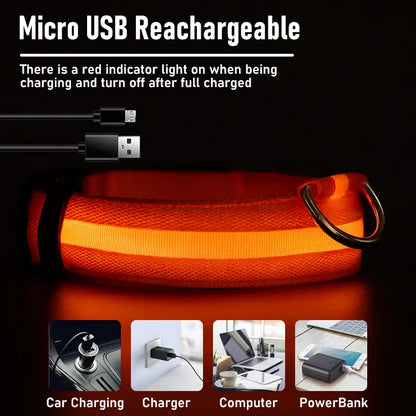 PawSnooze – USB Rechargeable LED Safety Dog Collar