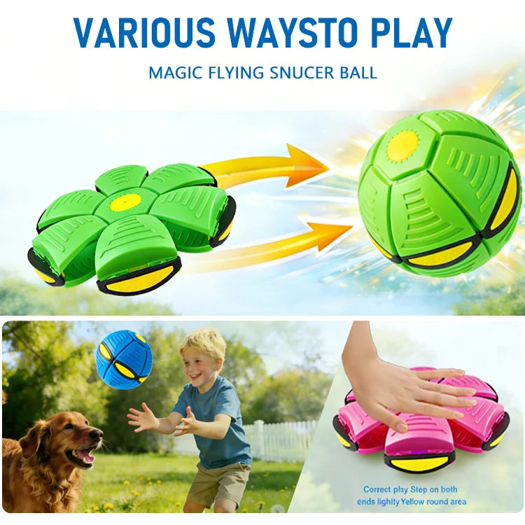 Doggy Interactive Flying Saucer Ball