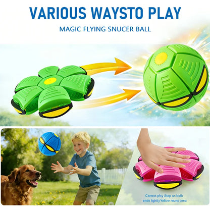 Doggy Interactive Flying Saucer Ball