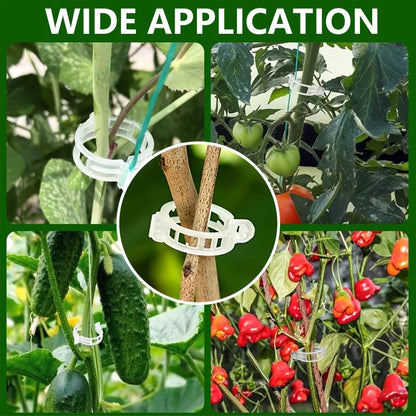 🌿 ClingGrow™ Plant Support Clips