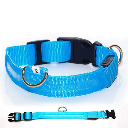 PawSnooze – USB Rechargeable LED Safety Dog Collar