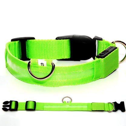 PawSnooze – USB Rechargeable LED Safety Dog Collar