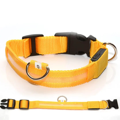 PawSnooze – USB Rechargeable LED Safety Dog Collar